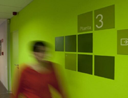 Beques pràctiques diversos àmbits culturals