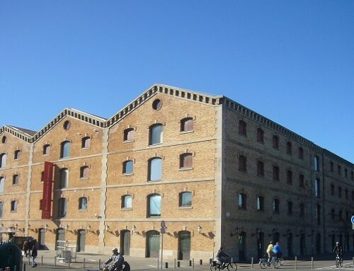 Llicenciat/ada al Museu d’Història de Catalunya