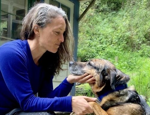 How Can I Contribute? Four Steps I’m Taking to Figure it Out