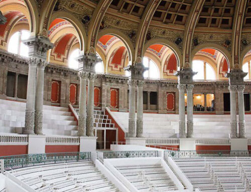 Llicenciat/da Gestió Exposicions Museu Nacional d’Art de Catalunya